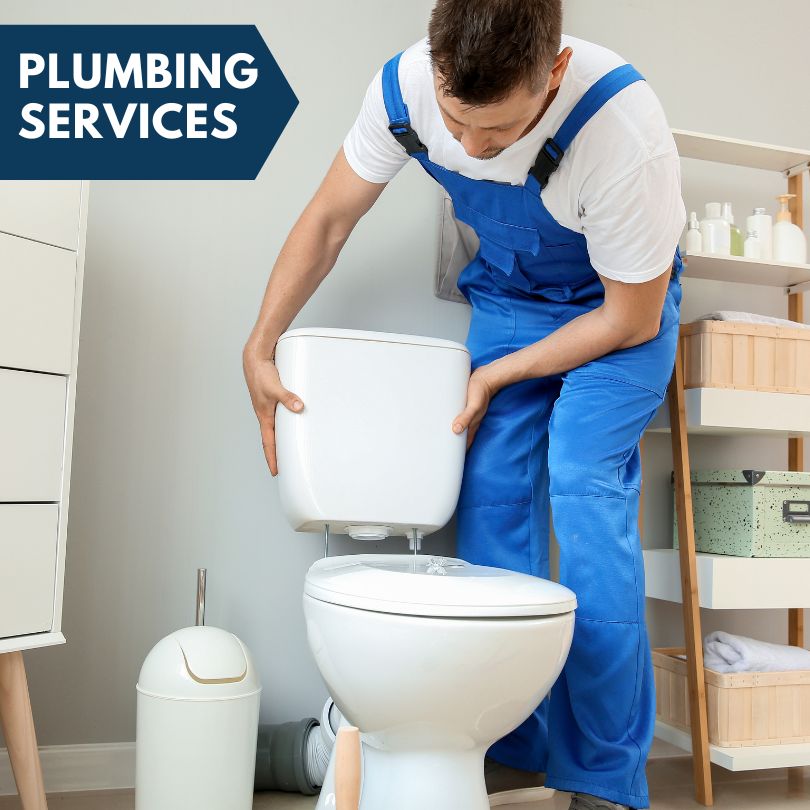Plumbing Company in North Star, MI